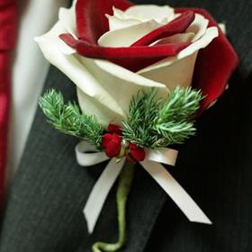 fwthumbRed & white petal rose.jpg